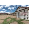 Route 66 - New Mexico - Tucumcari - Clint Eastwood