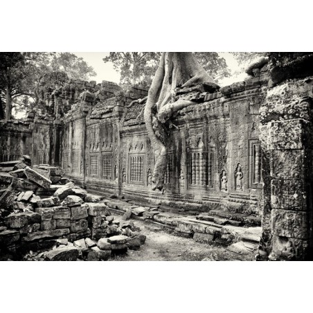 Cambogia - Angkor - Templi