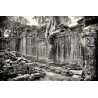 Cambogia - Angkor - Templi