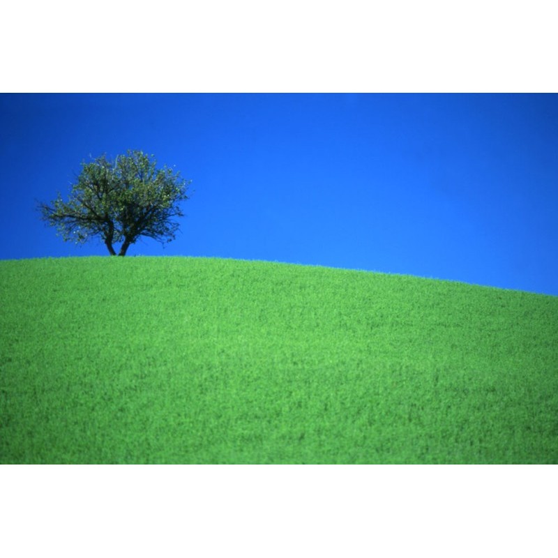 Paesaggio - Oltrepo Pavese - 2