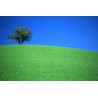 Paesaggio - Oltrepo Pavese - 2