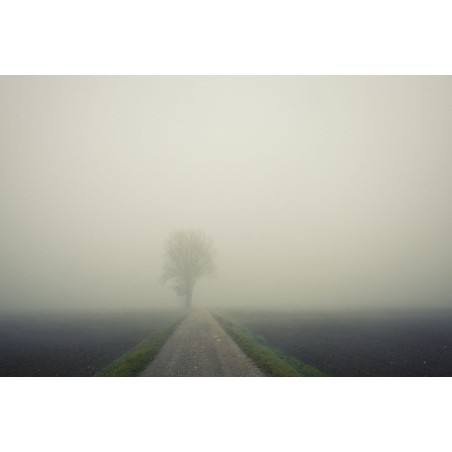 Paesaggio - Oltrepo Pavese con nebbia