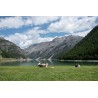 Montagne - Livigno - Lago