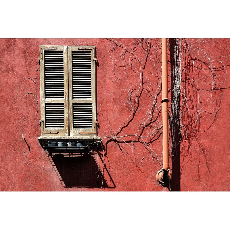 Shadows - Window