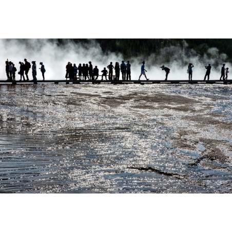 U.S.A. - Wyoming - Yellowstone National Park - geyser